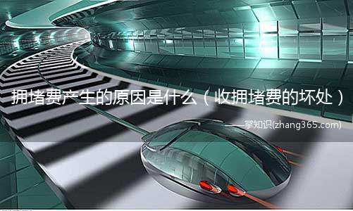 拥堵费产生的原因是什么（收拥堵费的坏处）