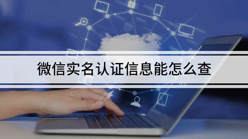 微信实名认证信息能怎么查(本视频演示机型:iPhone se2)