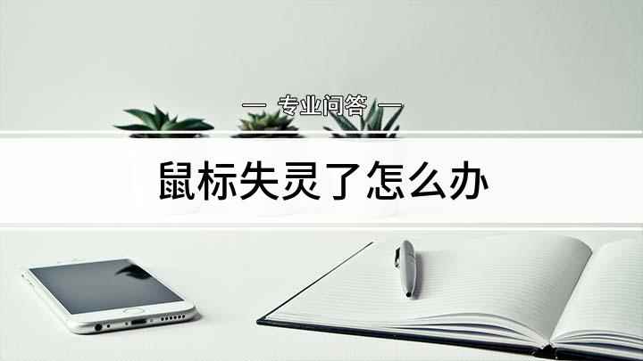 鼠标失灵了怎么办(鼠标不动了可能是驱动程序出现错误)