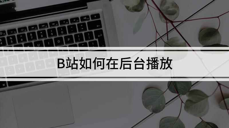 B站如何在后台播放(iphone11演示机)