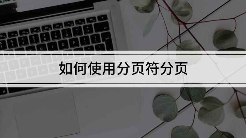 如何使用分页符分页(Windows10视频演示机型)