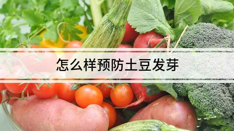 怎么样预防土豆发芽(发芽土豆吃了容易中毒)