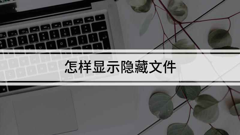 怎样显示隐藏文件(视频演示机型:组装台式机,软件版本:windows10专业版)