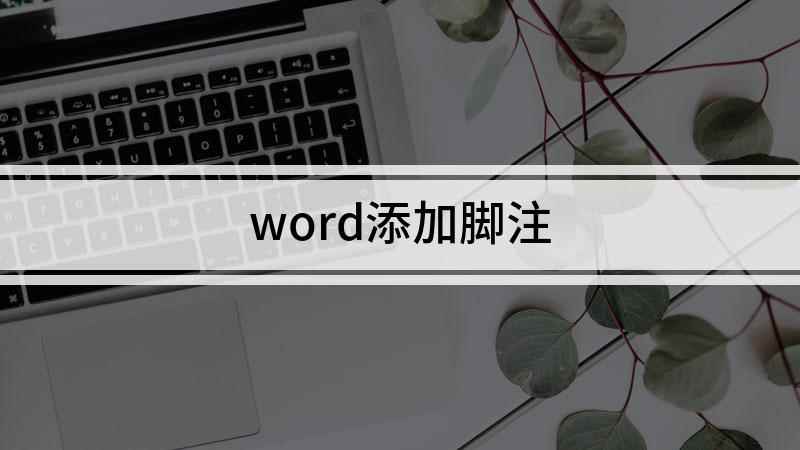word添加脚注(视频演示机型:组装台式机,适用系统:Windows10家庭中)