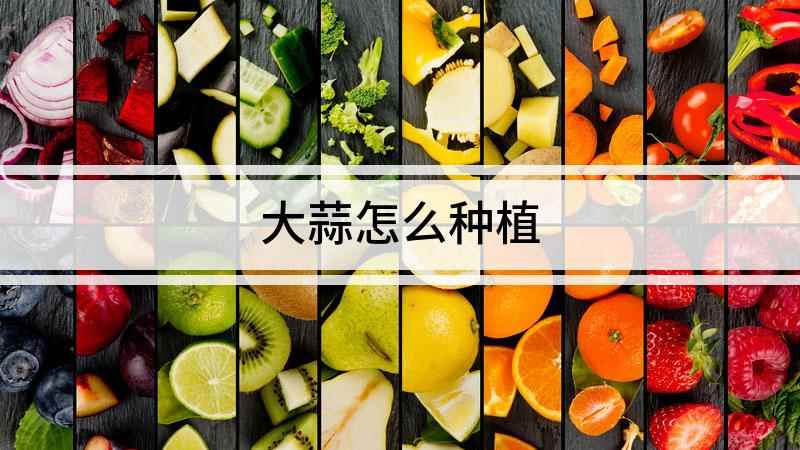 大蒜怎么种植(如何在家里自己种植大蒜)