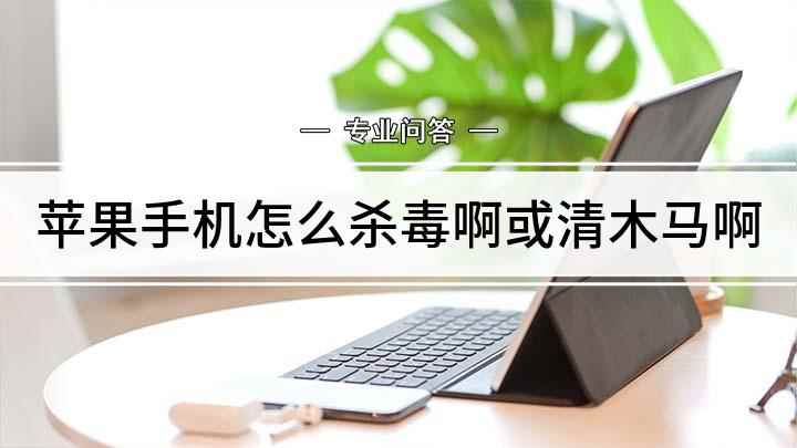 苹果手机怎么杀毒啊或清木马啊(App Store优化教程)