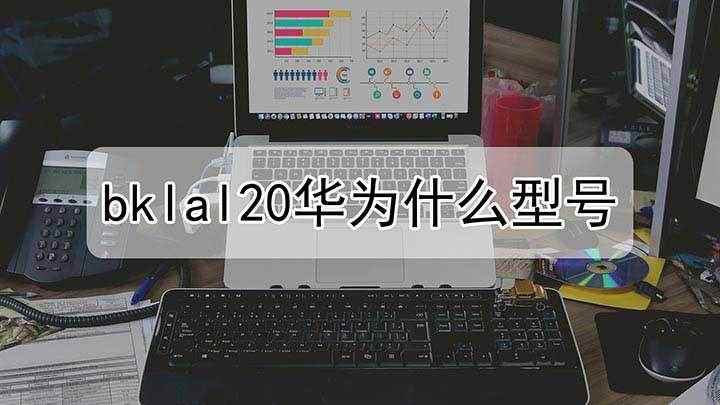 Bklal20华为什么型号(bklal20华为是什么型号的手机)