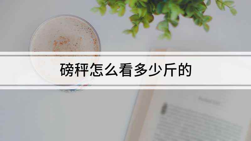 磅秤怎么看多少斤的(磅秤上的刻度尺是什么意思)