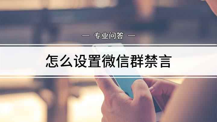 怎么设置微信群禁言(如何保持手机微信群里的安静)