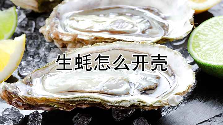 生蚝怎么开壳(生蚝怎么开壳把生蚝用刷子清理)