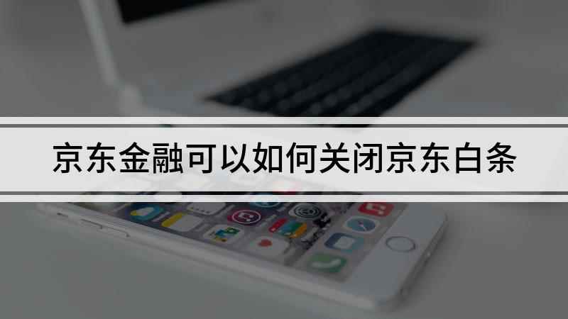 京东金融可以如何关闭京东白条(iPhone se2视频演示机型)