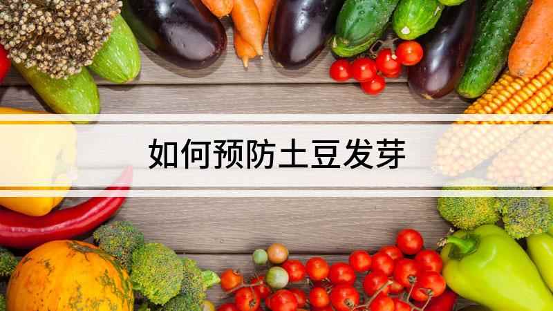 如何预防土豆发芽(发芽土豆吃了容易中毒)