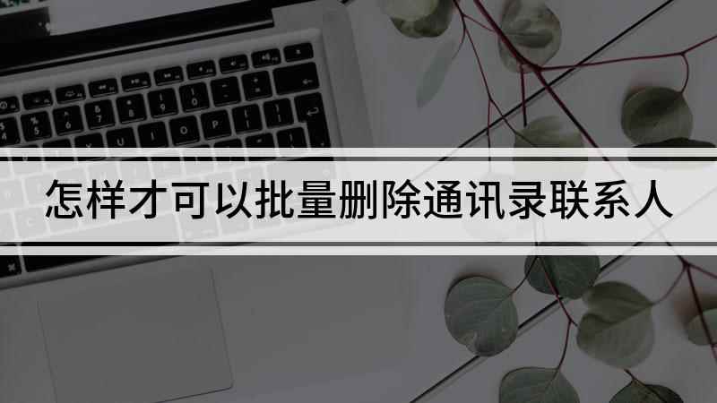 怎样才可以批量删除通讯录联系人(华为p50,iPhone 13软件)