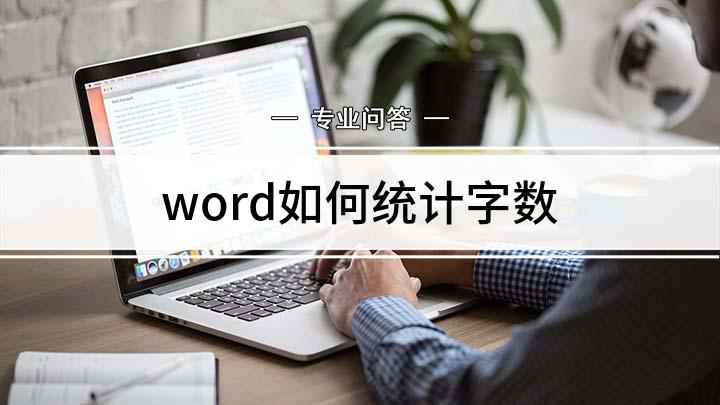 word如何统计字数(word统计字数的方法)