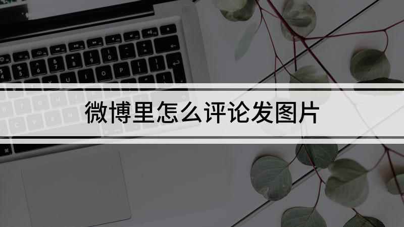 微博里怎么评论发图片(iPhone11,适用系统:ios13.7,微博10.9)