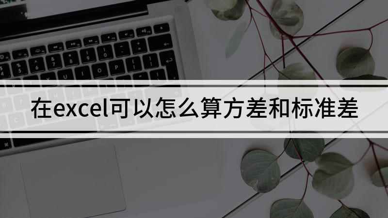 在excel可以怎么算方差和标准差(Excel算方差和标准差的方法)