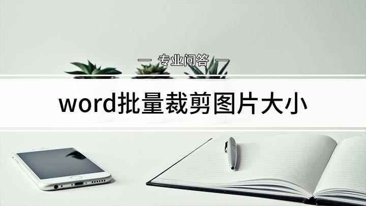 word批量裁剪图片大小(word批量处理图片大小)