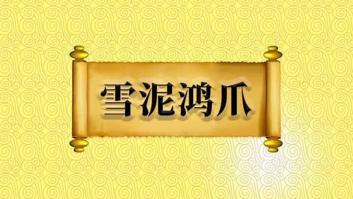 雪泥鸿爪什么意思(忆往昔,已似雪泥鸿爪,种种往事历在目,却难以回到从前)
