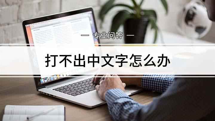 打不出中文字怎么办(电脑打字打不出中文怎么办)