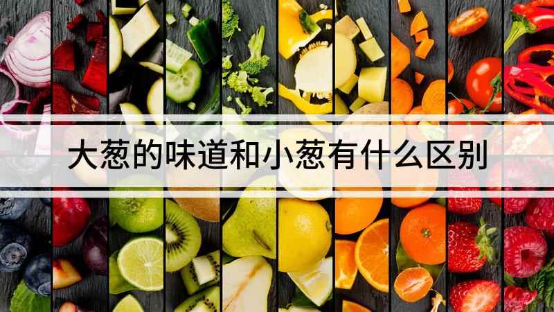 大葱的味道和小葱有什么区别(大葱和小葱有什么区别)