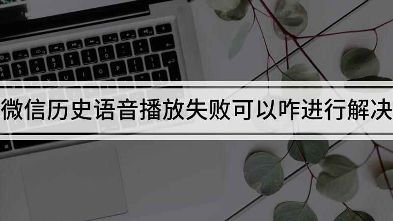 微信历史语音播放失败可以咋进行解决(微信历史语音播放失败怎么办)