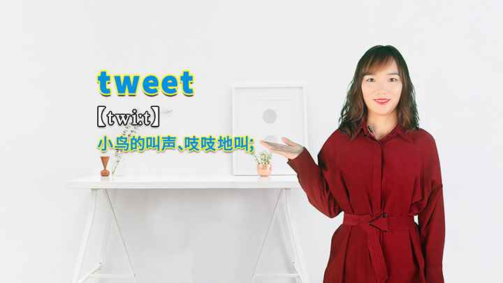 tweet的讲解(tweet是小鸟的叫声、吱吱地叫的意思)