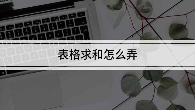 表格求和怎么弄(excel求和怎么操作)