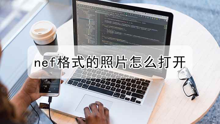 如何怎么打开nef格式的照片(Capture NX2 v2.4)