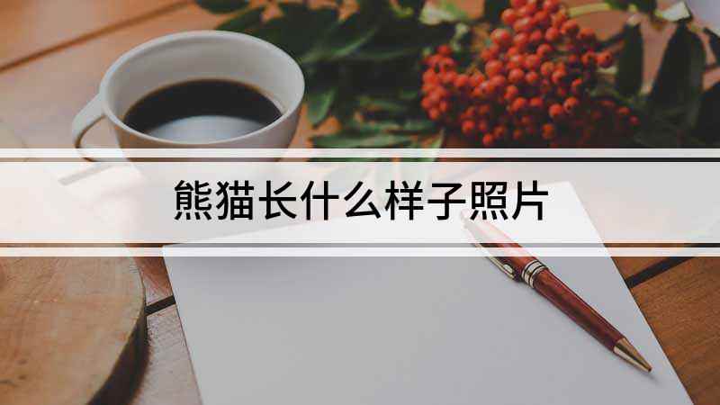 熊猫长什么样子照片(大熊猫长什么样子)