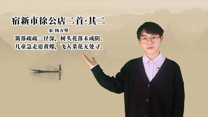 杨万里《宿新市徐公店二首·其二》讲解(儿童急走追黄蝶,飞入菜花无处寻)