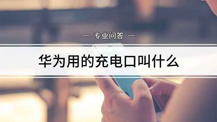 华为用的充电口叫什么(华为数据线手机端充电口叫什么)