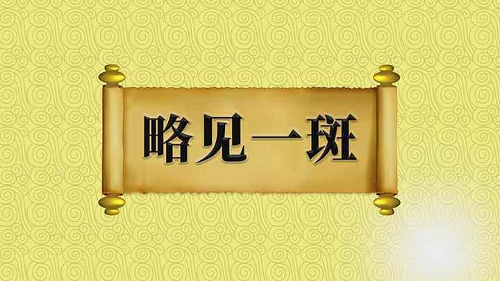 略见一斑的意思(成语【略见一斑】;略是大致,斑是斑点或斑纹,大致可以看到豹子)