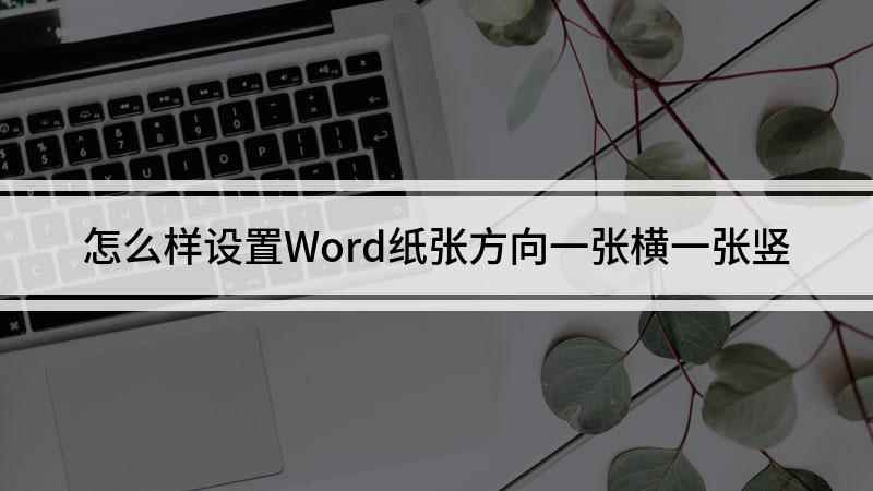 怎么样设置Word纸张方向一张横一张竖(戴尔成就3690,适用系统:Windows10)