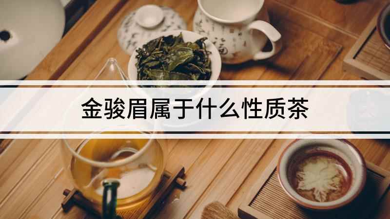 金骏眉属于什么性质茶(金骏眉是红茶的一种,而且是全发酵的红茶,它与半发酵加工工艺的)