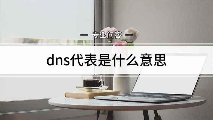 dns代表是什么意思(戴尔5570,适用系统:Windows 10 家庭中文版)