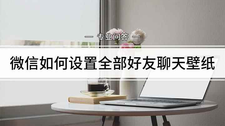 微信如何设置全部好友聊天壁纸(iPhone 11手机演示,适用于ios 13)