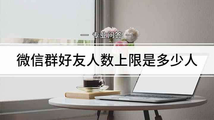 微信群好友人数上限是多少人(荣耀30s,适用系统:Magic UI3.1)