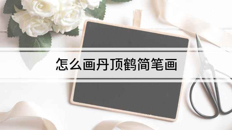 怎么画丹顶鹤简笔画(白纸上先画一个小圆做眼睛,曲线画出丹顶鹤的翅膀)