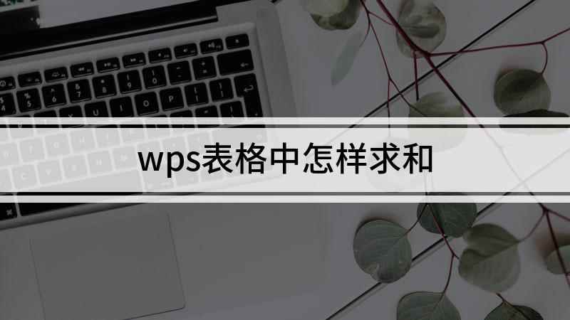wps表格中怎样求和(windows7视频教程)