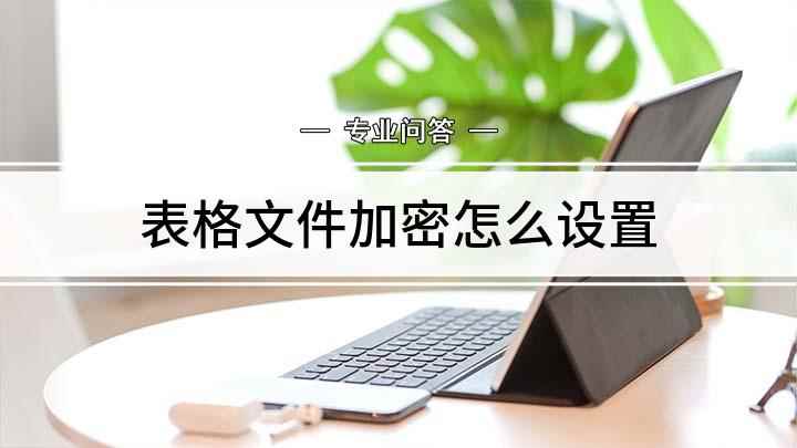 表格文件加密怎么设置(如何对Excel文件进行加密)