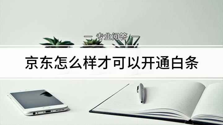 京东怎么样才可以开通白条(京东如何开启白条的方法)