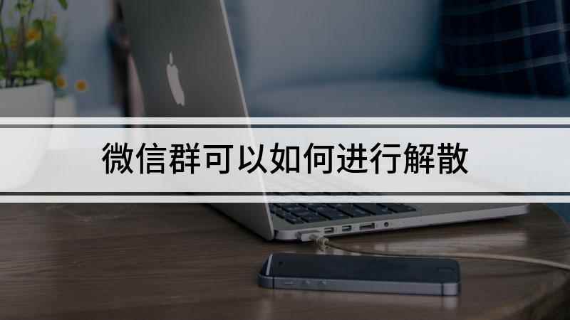 微信群可以如何进行解散(苹果手机桌面上找到【微信】软件)