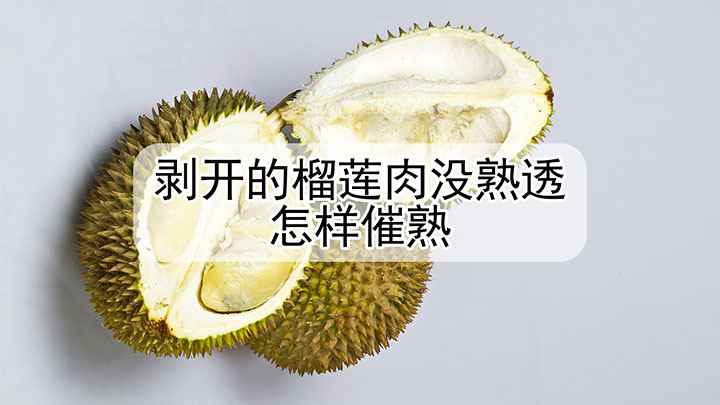 如何催熟的(剥开的榴莲肉没熟透,怎样催熟常温)