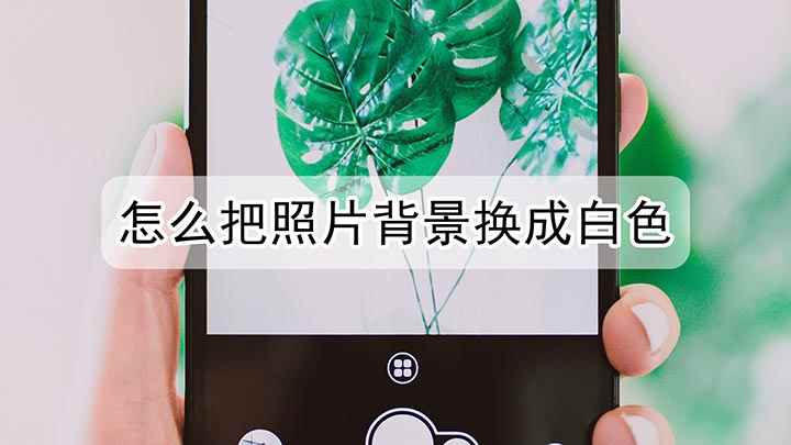 怎么把照片背景换成白色(华为Nova5pro演示机型:EMUI10.1)