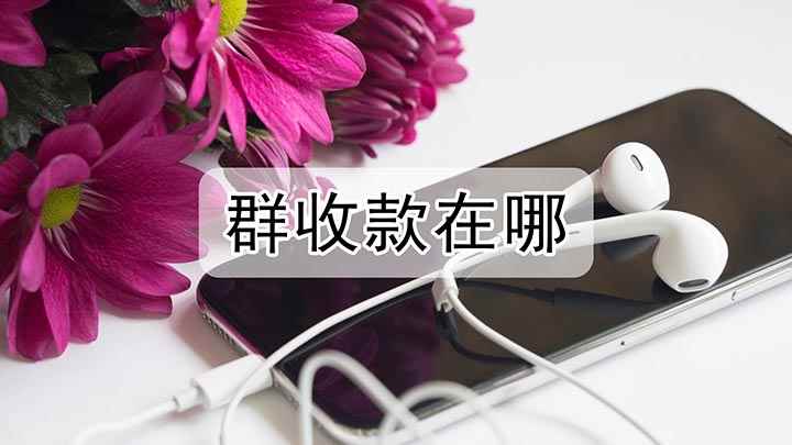 群收款功能在哪儿(荣耀30s,适用系统:Magic UI3.1)