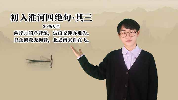 杨万里《初入淮河四绝句·其三》讲解(初入淮河四绝句其三:只余鸥鹭无拘管,北去南来自在飞)