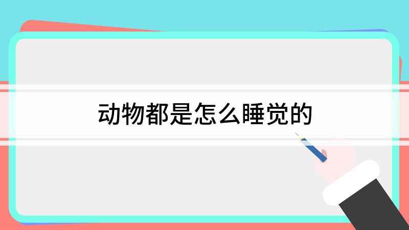 动物都是怎么睡觉的(动物是怎样睡觉的世界上有着各种各样的动物,不同动物有着不同)