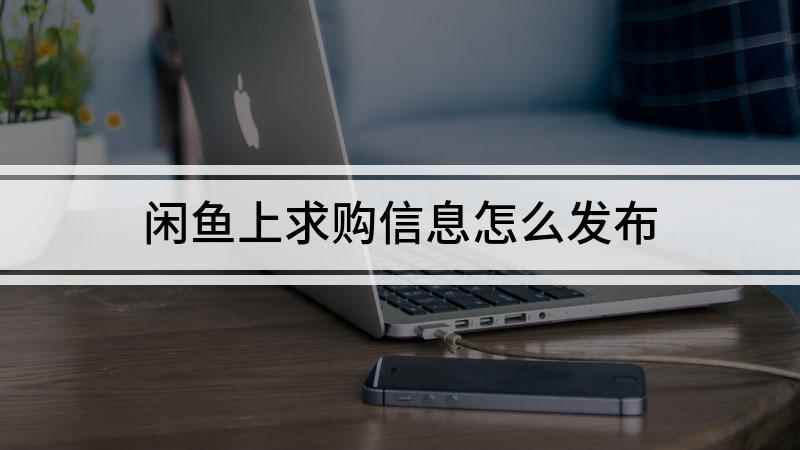 闲鱼上求购信息怎么发布(iPhone12演示机)