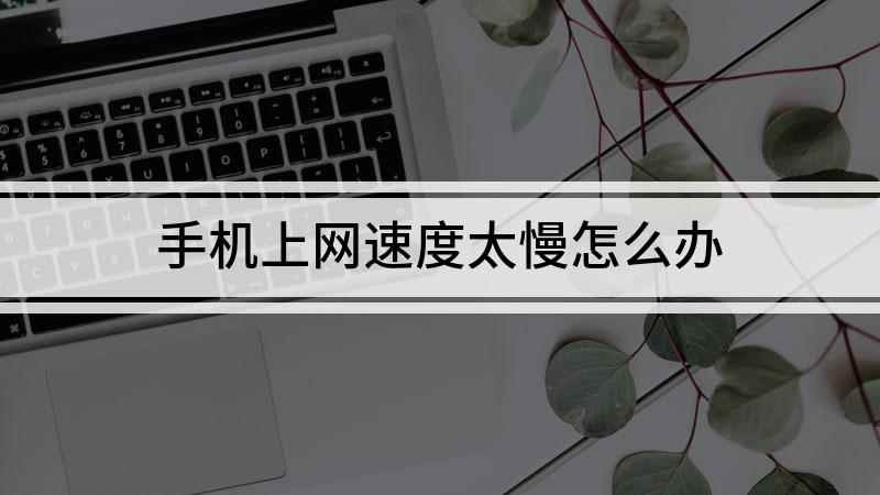 手机上网速度太慢怎么办(苹果手机网速慢怎么办)
