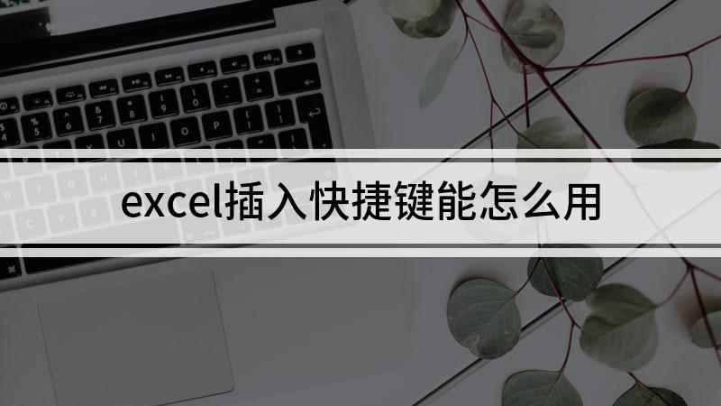 excel插入快捷键能怎么用(联想拯救者y7000,适用系统:Windows 10)
